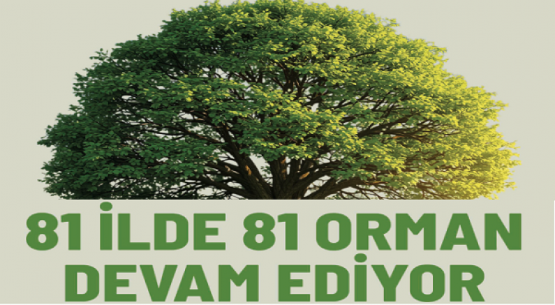 Daha Yeşil Bir Dünya İçin '81 İlde 81 Orman' Projesi