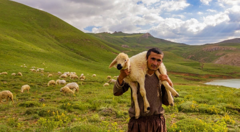 İklim Krizi Tarım ve Hayvancılıkta Milyonlarca Kişiyi İşsiz Bırakabilir!