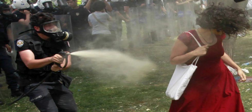 AİHM, Gezideki  “Kırmızılı Kadın”  İçin Türkiye’yi Mahkum Etti.