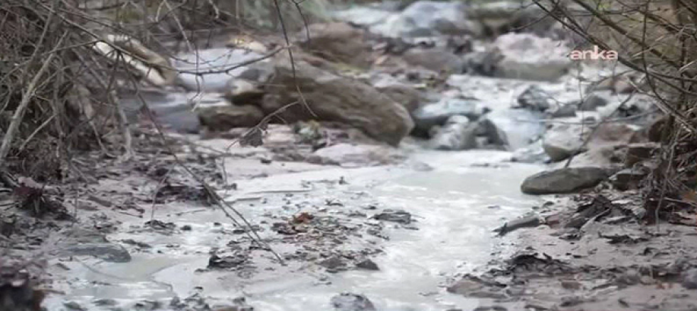 Bursa Yenişehir'de Maden Kaynaklı Çevre Katliamı!