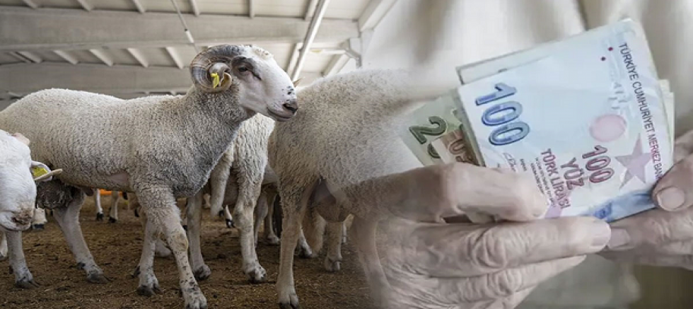 Emekliye Bu Yıl Kurbanda Yok, Bayramda Yok'