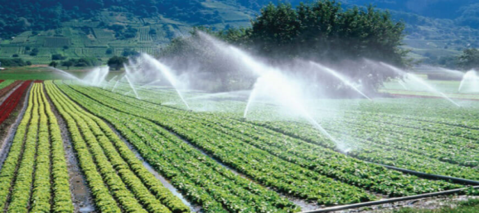 Gıda Güvenliği İçin 