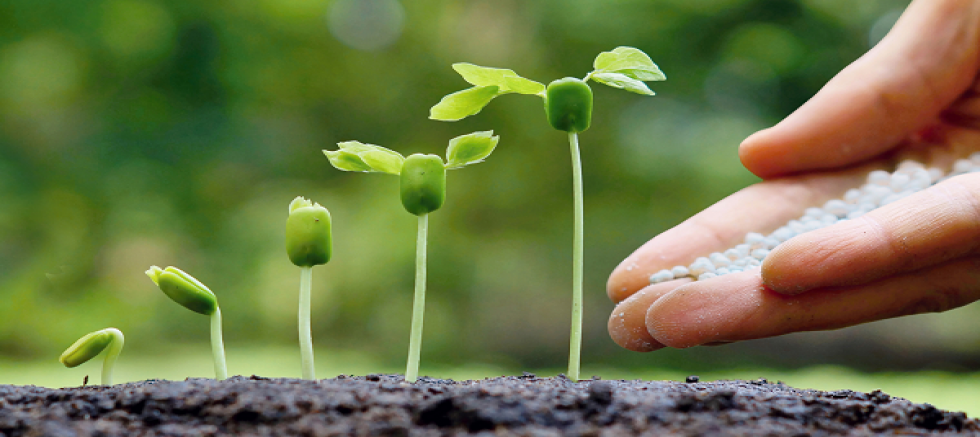 Gübre Grubundaki Bazı Ürünlerin Gümrük Vergisi Sıfırlandı.