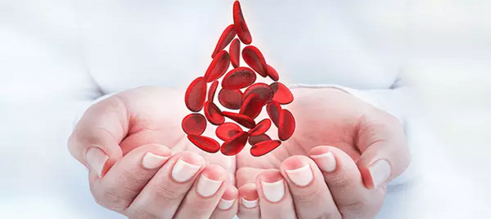 Hematologlardan Sağlıklı Bireylere 'Donör Olun' Çağrısı!