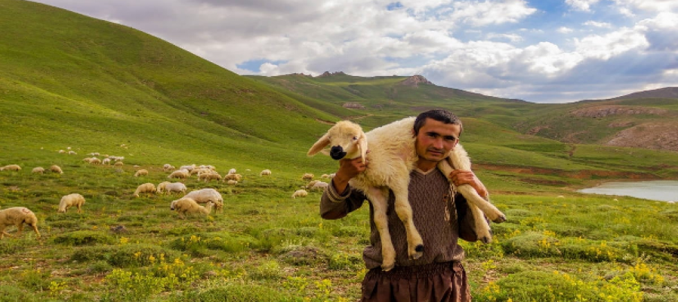 İklim Krizi Tarım ve Hayvancılıkta Milyonlarca Kişiyi İşsiz Bırakabilir!