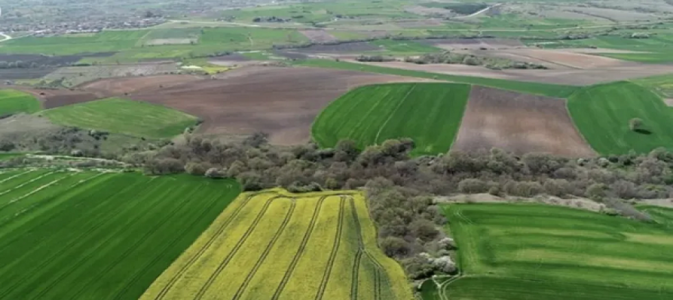 TBMM'den 2B Orman Arazilerine Tapu İçin Yasa Düzenleme