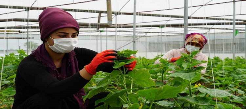 Yükseköğretimde Eğitim İle İstihdam Politikaları Birbiriyle Uyumsuz!