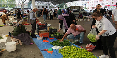 BİSAM Kasım Ayı Açlık ve Yoksulluk Sınırı Raporunu Açıkladı.