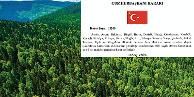 Cumhurbaşkanlığı Kararnamesi İle Orman Katliamı!