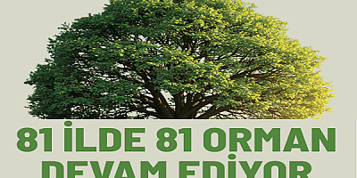 Daha Yeşil Bir Dünya İçin '81 İlde 81 Orman' Projesi