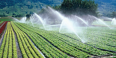 Gıda Güvenliği İçin 