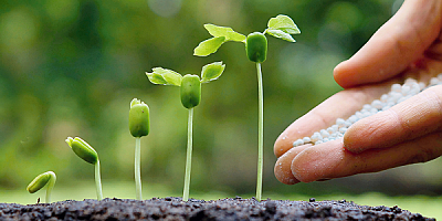 Gübre Grubundaki Bazı Ürünlerin Gümrük Vergisi Sıfırlandı.