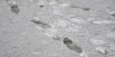 Hava Kirliliği Kahramanmaraş'ta Karın Siyah Yağmasına Neden Oluyor