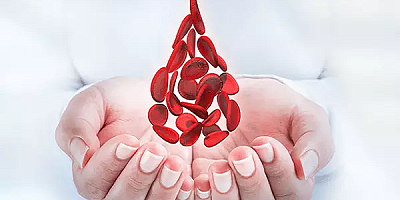 Hematologlardan Sağlıklı Bireylere 'Donör Olun' Çağrısı!