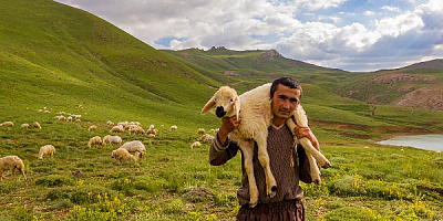 İklim Krizi Tarım ve Hayvancılıkta Milyonlarca Kişiyi İşsiz Bırakabilir!