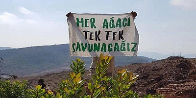 Mahkeme Kazdağı’nda Madencilik İznine Durdurma Kararı Verdi.