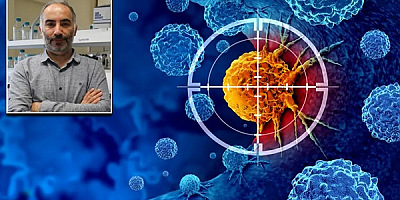 Türk Bilim İnsanlarından Kanser Tedavisinde 'Çift Hedefli' Antikor Devrimi.